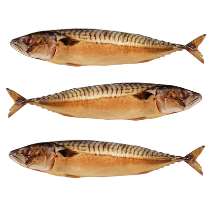 PACK of 3 Cold Smoked Mackerel, 15.87 oz x 3