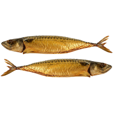 PACK of 2 Hot Smoked Mackerel, Haifa, 15.87oz x 2