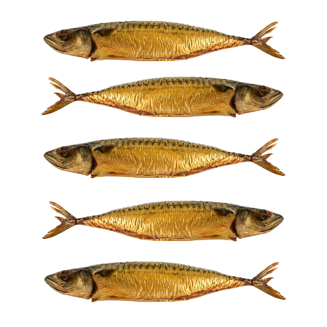 PACK of 5 Hot Smoked Mackerel, Haifa, 15.87oz x 5